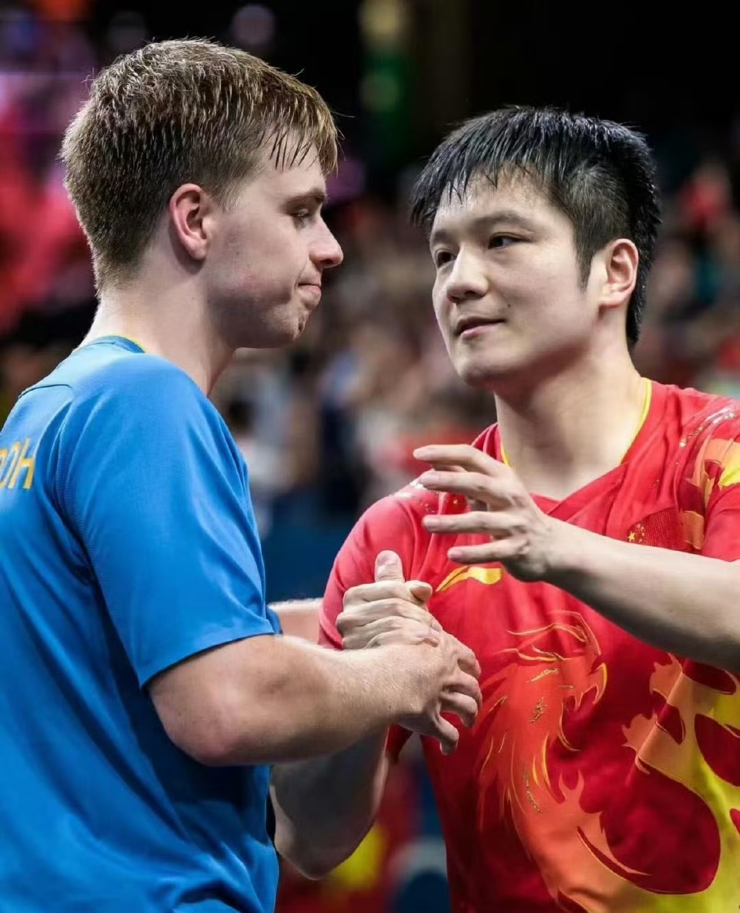 葡萄牙队绝杀瑞典队，樊振东点燃赛场