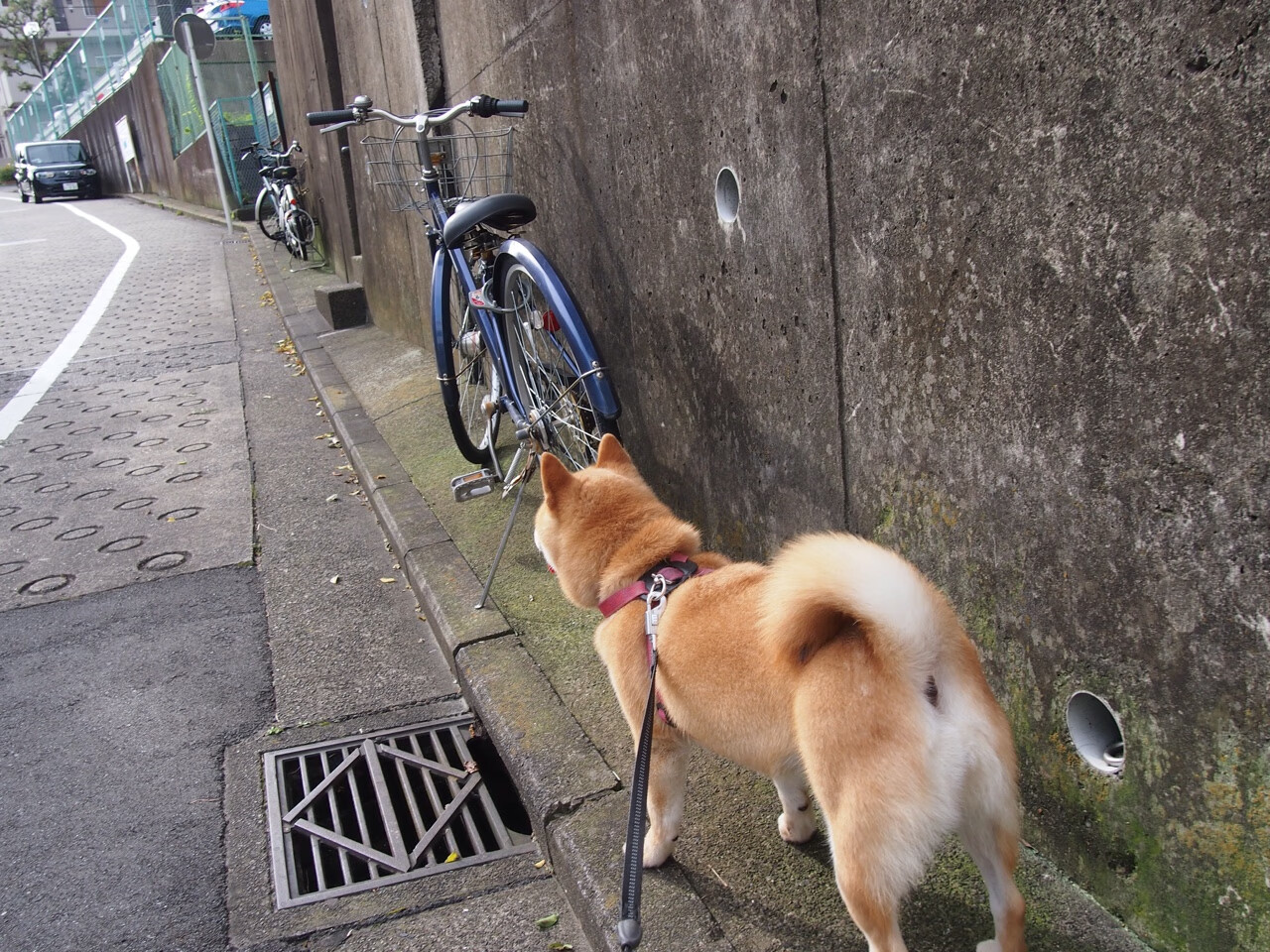 超越时间的翻盘,纳达尔如何将一场失利,铸成网球史上最惊艳的救赎