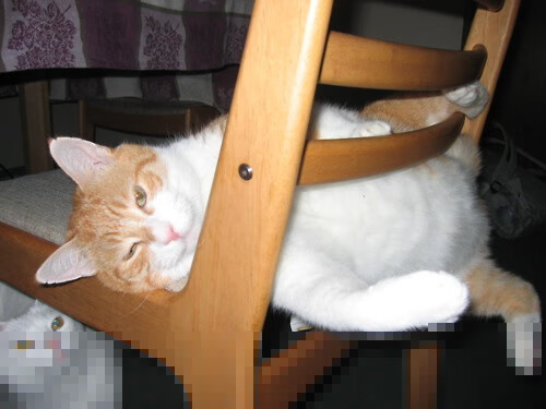 赛道烽火，迈凯伦轻取雷诺，拉塞尔烈焰正燃