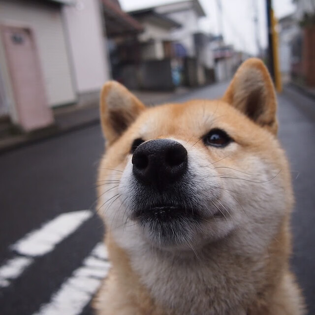 深海压境与孤峰登顶，当印尼的群岛战术淹没德国战车，辛杜在纪录之巅独自回响