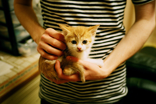 寒夜鞍山铸逆转，孤星赵继伟三分箭破青岛铁阵