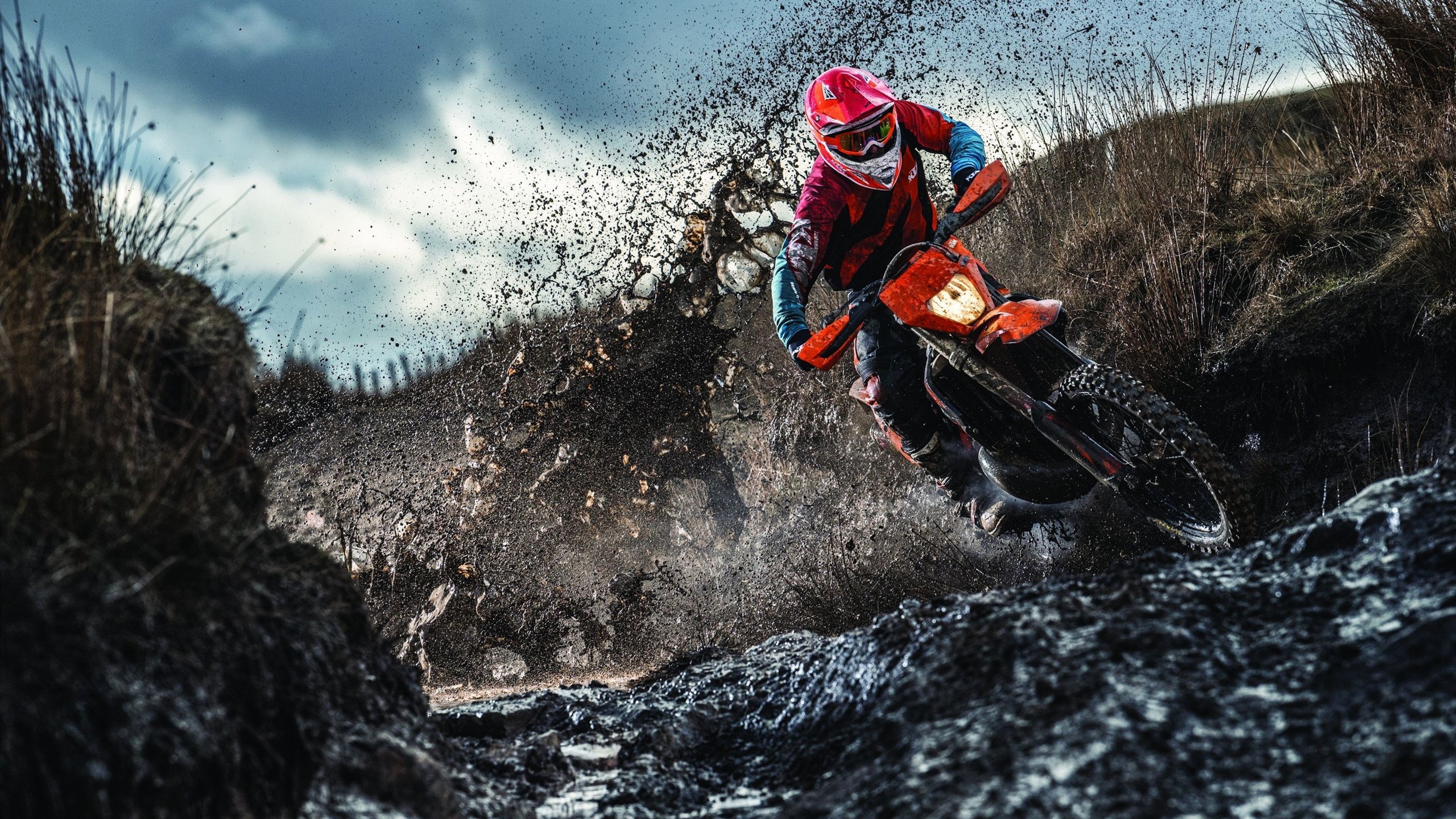 冰封王座下的热浪，当泰国羽翼轻取德国战车，安赛龙证明带队比独行更锋利