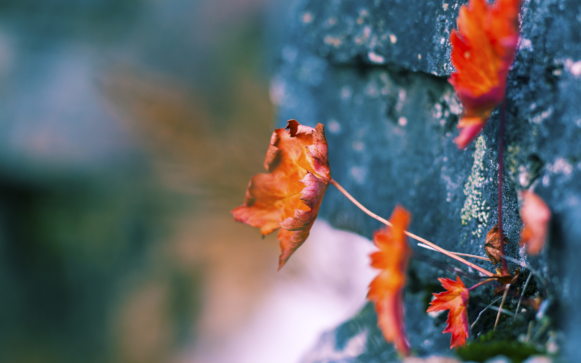 西决生死夜，德罗赞血刃封喉，攻防两端铸就唯一神迹