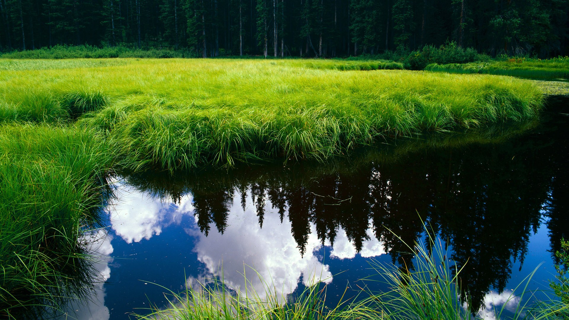 最后一夜暗杀名单，皮克如何掀起世界排名的猎杀游戏