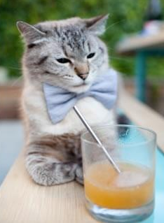 雨夜狂澜中的孤岛，凯塞多在奥运周期关键战中的绝对稳定