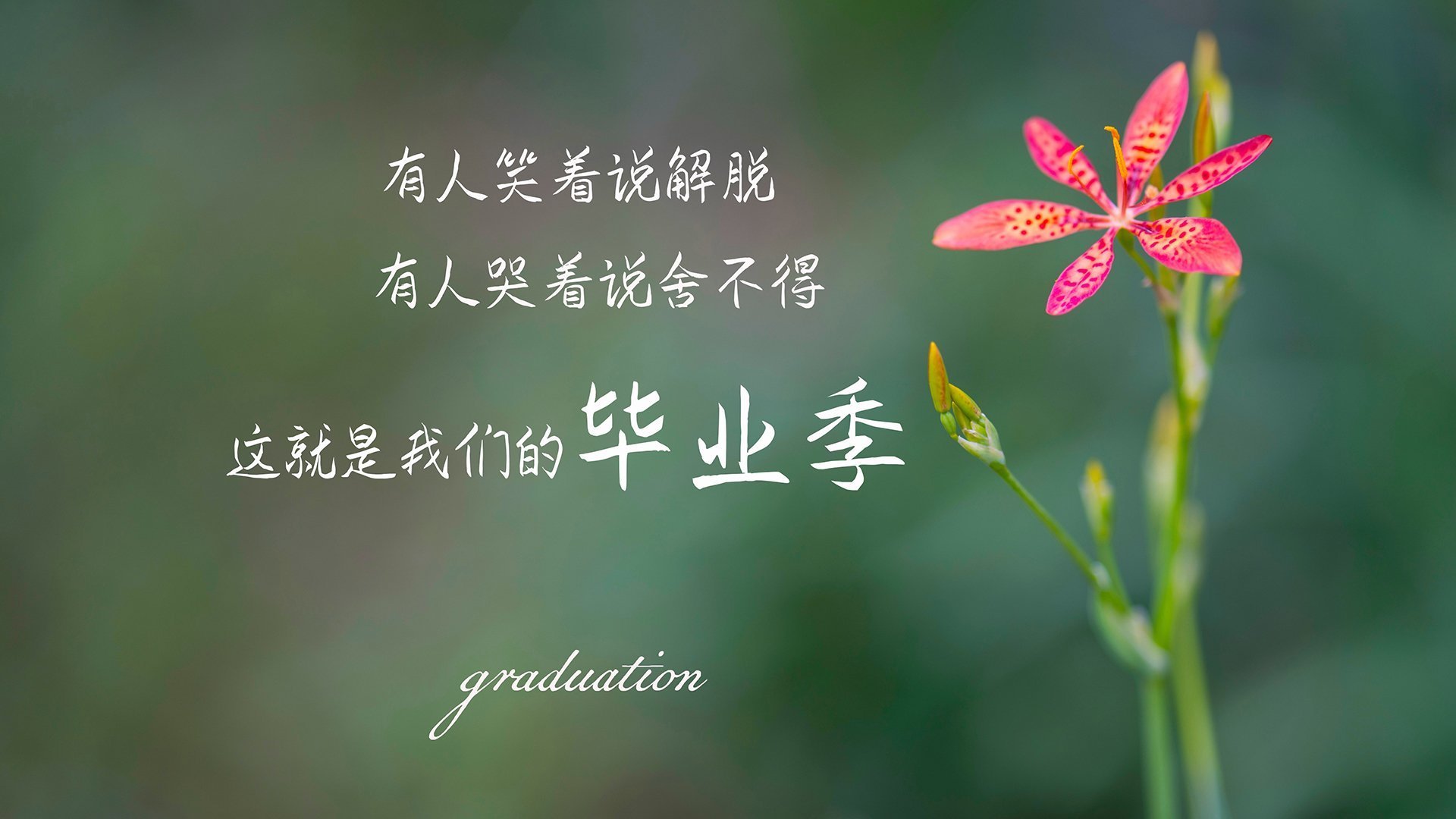 2026世界杯C组关键战,匈牙利碾压日本,萨内领衔狂攻,门将神勇定乾坤—一场颠覆预期的奇幻对决
