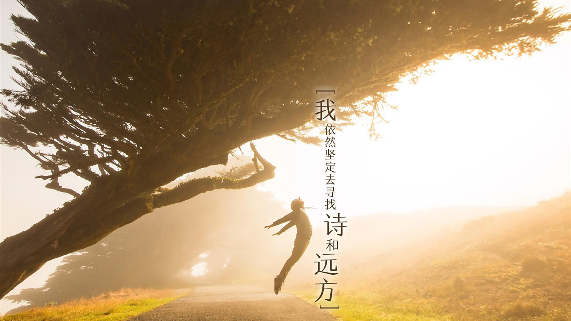 喀麦隆碾压伊朗,阿诺德独领风骚—2026世界杯B组唯一性的碾压与惊艳