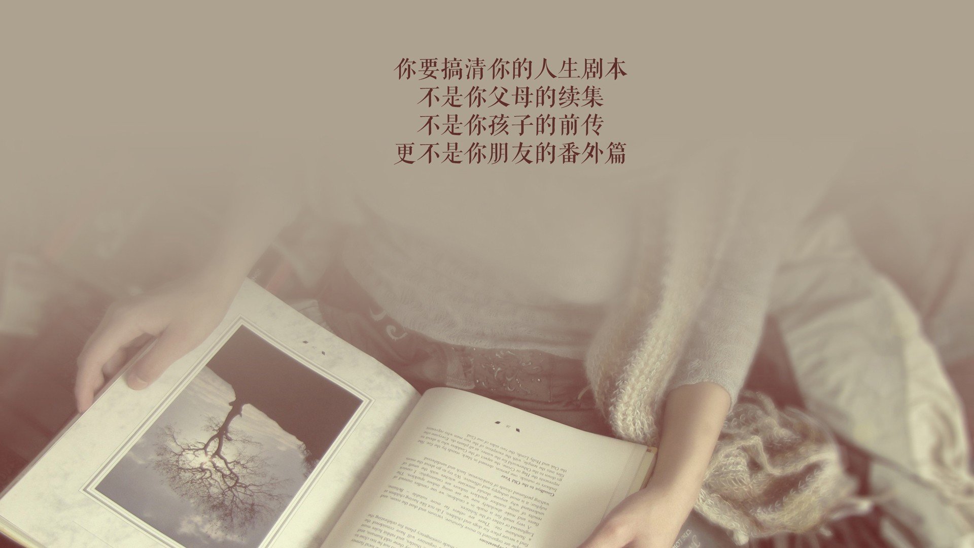 沙漠风暴中的北极光,2026世界杯G组,挪威钢铁防线碾压印度,齐耶赫独舞点亮强硬之夜