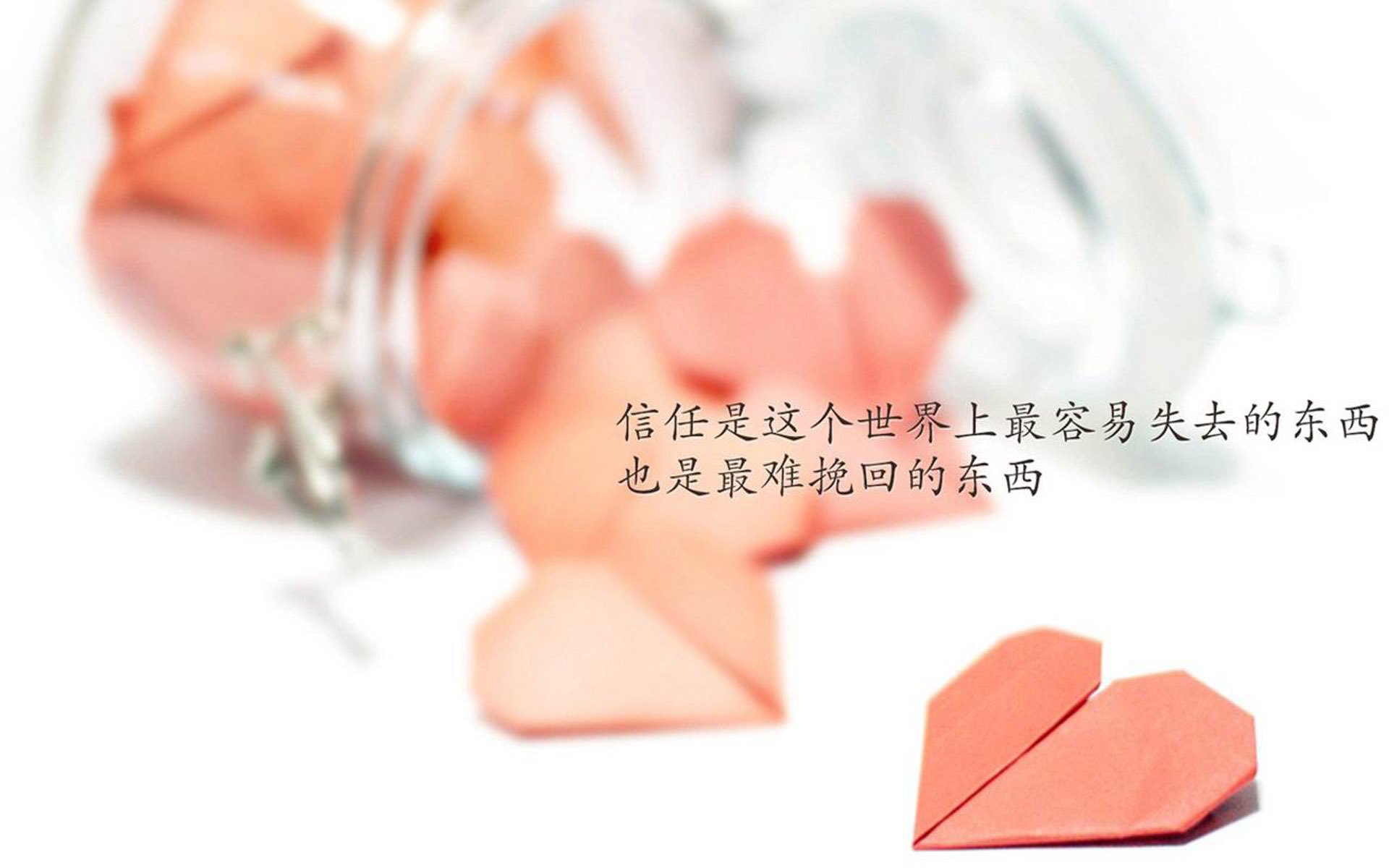 唯一之战,2026世界杯D组生死夜,库尔图瓦如何用双手改写罗马尼亚的命运剧本